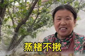 只有春天才能吃到的楮不揪你们都吃到了吗？趁着清明假期可以摘点像这样蒸着吃，再不吃就要等到明年啦#蒸楮不揪 #春季必吃的野菜 #来一口乡间春分的味道 #抖音美食推荐官 #春日别错过构树穗