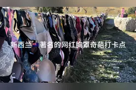 新西兰🇳🇿胸罩奇葩网红打卡点#旅行推荐官 #新西兰 #跟我去旅行视频封面