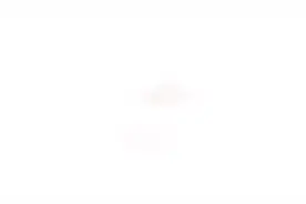 叶子的掉落是对完整生命的阐释，落叶悠悠，只是完成生命的沉淀。视频封面