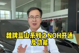 魏牌蓝山车型配备的NOH功能，你知道有哪些功能以及如何开通吗？看完你就学会了！#共享大好时光 #魏牌蓝山