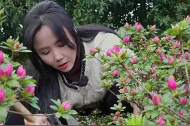 还想看我做什么造型艾特我#盆景 #杜鹃 #花卉绿植 #杜鹃花视频封面