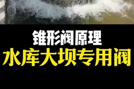 什么是锥形阀？锥形阀原理 #锥形阀 #原理 #科普 #机械 #阀门 @重庆大才阀门