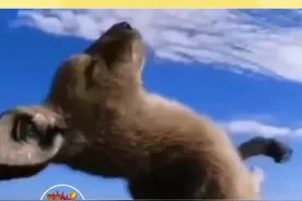 薛之谦可真是个联名鬼才，新歌《解解闷》代入感拉满了！#joker妆和薛之谦的适配度 #和薛之谦一起解解闷 #和薛之谦一起解解闷