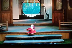 这么可爱的凤凰  还被当成一只鸡还差一点被下锅了😂视频封面