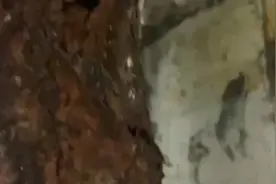 #铸铁下水管漏水维修！ 专业、专注、专心 13953118239视频封面