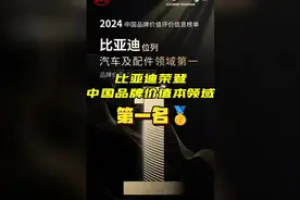 比亚迪位列2024中国品牌价值（汽车及配件领域）第一名🥇视频封面