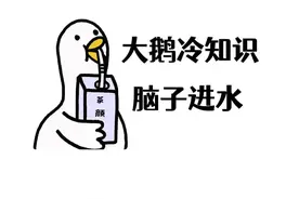 原来脑子进水，是真的视频封面