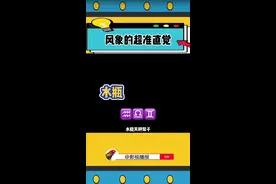 风象星座的直觉是真的准的离谱 #风象星座#风象#星座#娱乐评论大赏视频封面