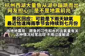 杭州西湖大量鱼从湖中蹦跳而出，网友担心“这是不是地震前兆”，景区：可能是要下雨了水里氧气浓度低 地震局：这种情况经常发生，不用过度解读@抖音短视频 #浙江dou知道
