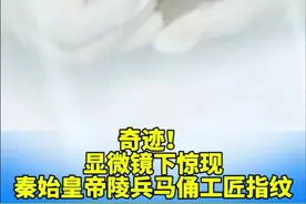 奇迹！显微镜下惊现秦始皇帝陵兵马俑工匠指纹 