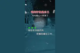 我在吹深夜的风，把痛苦藏在心中…#说不出的或许都在歌里 #伤感的人听伤感的歌 #多少人从这首歌听到自己 #听着听着就哭了