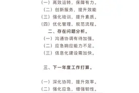办公室主任2024年度个人工作总结提纲怎么写 #写材料 #写作素材 #述职报告视频封面