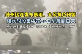 8月25日，德州市气象台接连发布暴雨、大风黄色预警！预计25日下午至26日，德州有一次暴雨天气过程，主要降水时段集中在26日早晨到白天，城市内涝气象风险较高。#德州 #天气预报 #暴雨 #内涝视频封面