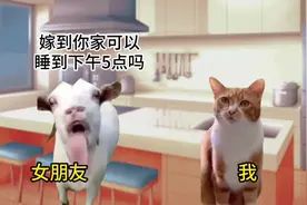 嫁到你家可以睡到下午5点吗？结果万万没想到…#猫meme