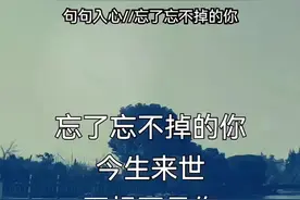 忘了忘不掉的你，今生来世不想再见你…#新歌上线#伤感音乐#听哭了多少痴情男女 #愿所有的真情都不被辜负 #抖音热门推荐@DOU+小助手视频封面