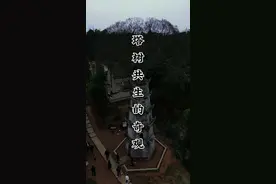 如果不是亲眼所见，你绝对不敢相信，这座石塔的顶上，竟然生长了一棵参天大树。#奇观 #塔树共生的奇观 #奇迹 #旅行推荐官 #旅行