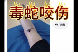 接下来开始要大忙了，晚上开启鉴蛇科普模式，进来听听吧视频封面