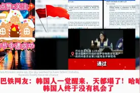 #春节 #文化输出 #歪果仁 #国外网友热议 油管看中国春节申遗成功视频封面