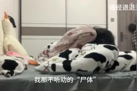 以为睡着了没想到是痛晕了😅#痛经 #天选之子 #猛男落泪