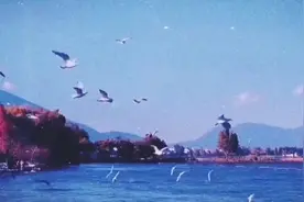 NASA最疯狂的时间剥夺实验，被科学家关在洞穴独自生活130天视频封面