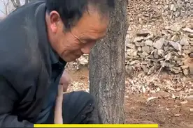 山东有黑松露吗？目前还没发现#松露 #黑松露