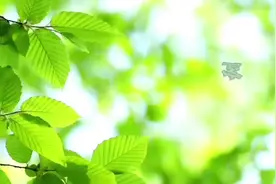 山东省高职专科志愿填报时间：7月24日9：00至26日18：00视频封面