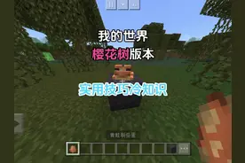 【我的世界】网易暑假版本更新内容关于青蛙