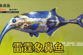 欢乐钓鱼大师，非洲刚果河，从未见过的雷霆象鼻鱼