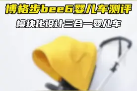 博格步Bee6婴儿车测评 荷兰品牌模块化设计的一台婴儿车#遛娃神器 #婴儿车 #宝宝好物推荐 #博格步 #宝妈带娃解放双手视频封面