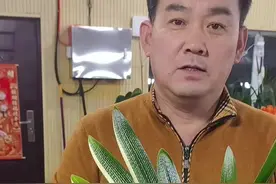 鱼蛋白营养液的使用方法