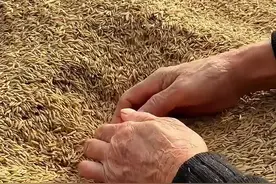 #整人玩具 #有趣生活 #这小孩咋这么倔强 #新小鬼当家视频封面