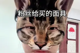 粉丝为了让我俘获小墩的心，给我买个面具#萌宠出道计划 #养猫人 #我和我的猫 #谁能拒绝傻憨憨的小猫咪 #被迫营业的猫猫视频封面
