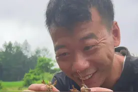 今天带大家沉浸式体验一下我们北方抓蝲蛄的快乐！给大家做个油炸蝲蛄，香迷糊了！#农村生活#农村美食#新农人计划2025