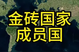 金砖国家现有十个成员国，你知道其名称的来源吗？#地理 #金砖国家 #印度 #巴西 #地图视频封面