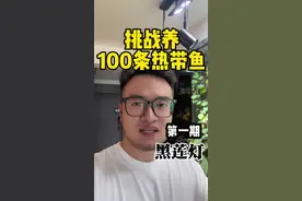 挑战养100种热带鱼，第一期 2元一条，我朋友竟然问我是什么魔鬼！#水族 #养鱼日记 #鱼缸 #水草缸