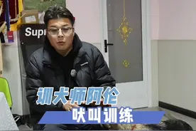 又解锁一个让狗狗叫的方法#狗狗 #训犬师 #训犬学校 #训狗经验分享 #东德牧羊犬