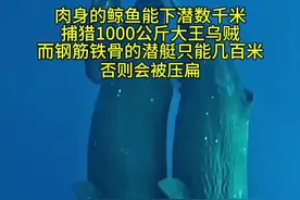 潜艇下潜2000米，等于每平方米站2万个200斤胖子，整个潜艇会瞬间压扁，鲸鱼为何没事呢，10000米深马里亚纳海沟有没有鱼类生存呢#探索发现 #地理知识 #海洋视频封面