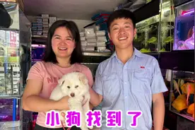 狗狗丢失5天终于找到了，见到我们激动不已，悬着的心可以放下了