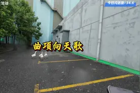 外卖地址填错了没关系，下个闪送使命必达哈哈哈#日常vlog视频封面