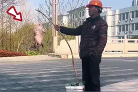 遇到路边卖甲鱼的千万不要买…#路边甲鱼 #骗局 #套路