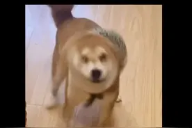 这个无锡，我一定要去打卡一次！！#张凌赫1230生日快乐 #张凌赫廿七云起日和朗霁视频封面