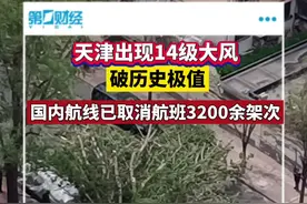 国内航线已取消航班3200余架次，天津出现14级大风，破历史极值视频封面
