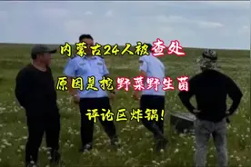 内蒙古24人被查处，原因竟是挖野菜野生菌，评论区炸锅视频封面