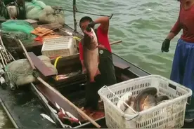 东平湖是山东省第二大淡水湖，总面积626平方公里，常年水面208平方公里，最大蓄水量7亿立方米。古称大野泽、巨野泽、梁山泊，清咸丰五年，黄河改道，洪水漫溢，在大汶河下游蓄滞，始称“东平湖”，是《水浒传》中八百里梁山水泊的唯一遗存水域。东平湖是国家南水北调东线工程的枢纽，长江的水、黄河的水在此汇聚，一水连通长江黄河，一水贯穿中国南北，在中国水利发展上的地位非常重要。东平湖白帆点点，绿水滔滔，菱芡丛丛，芦花飘飘。到东平湖旅游，可体味在“八百里梁山水泊”泛舟之意趣。#抖出你的家乡 #旅行推荐官 #湖中美景视频封面