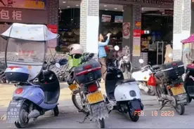 西郊有密林，助君出重围。视频封面