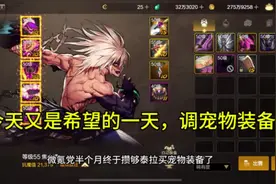 DNF手游调整罗特斯宠物装备，史诗属性给我出#dnf手游 #旭旭宝宝视频封面