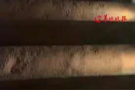 女子偶遇“阴阳楼梯” 网友直呼：太危险了！ “每一步都踩在我想不到的地方” #小羊拍客 （记者：刘慧君；编辑：郑紫薇 ；实习生：钟皓龄；审签：罗钧栋）#阴阳 #楼梯设计 #危险瞬间视频封面