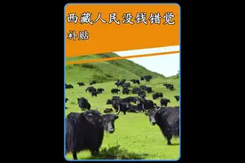 藏民的座驾基本都是这种百万越野车，你还觉得他们穷吗？#酷路泽