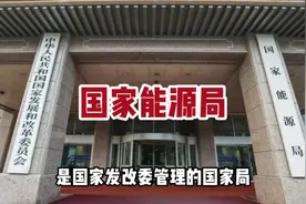 国家能源局权力有多大？中石油中石化归不归它管？#能源 #央国企视频封面