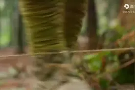 英雄不问出处，前途不问归途。视频封面